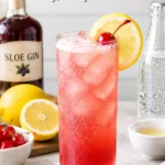 A Sloe Gin Fizz recipe combines sloe gin, fresh lemon juice, simple syrup, and sparkling water into a tart, fruity, refreshing cocktail.
